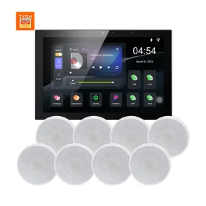 10 Inch Background Music Host Independent Music Playback In Two Zones Smart Control System Home Automation Control Panel