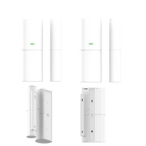 10 Years Battery Door Sensor RF433 LoRa WIFI Tuya App Door Detector for Alarm System
