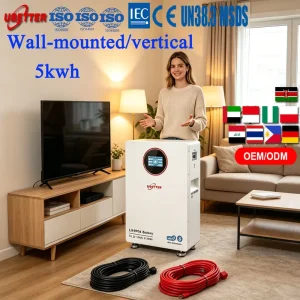 10kWh 5kWh Lithium Iron Phosphate (LiFePO4) Battery Power Wall 51.2V/25.6V 100Ah-314Ah Solar Home Energy Storage System