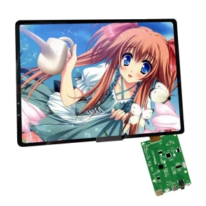 11 Inch 2K Resolution Touch Screen IPS HD Oled Display Android Lvds Wide Panel Capacitive Self Luminous Amoled Module for Tablet