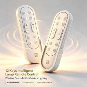 12 Keys Remote Control for Intelligent Lamps Outdoor Lighting Controller OEM ODM Customized