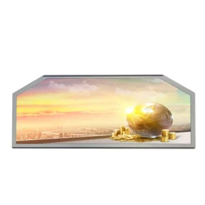 12.3” LVDS Interface TFT Dashboard LCD Display Module *720 for Automotive Application Medical Equipment OEM Project