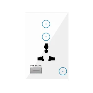 2-Gang US AU 10A USB WiFi Smart Wall Socket with Tuya Alexa Control White & Black Electrical Plug Switch
