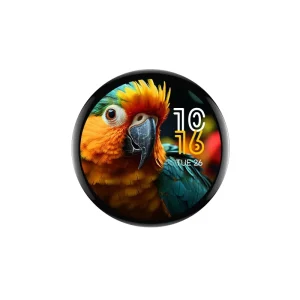 2.2 Inch Amoled Display 480×480 Round AMOLED Display Module MIPI On-cell Touch Screen for Smartwatch Wearable AI Hardware