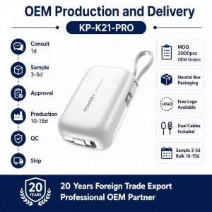 20000mAh Power Bank OEM ODM Custom Logo Dual Built in Type C and Cable for IPhone PD 22.5W Piano Metallic Paint