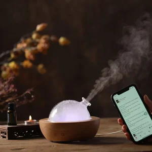200ML Smart Home Use Wooden Ultrasonic Humidifier with Blue Tooth Function
