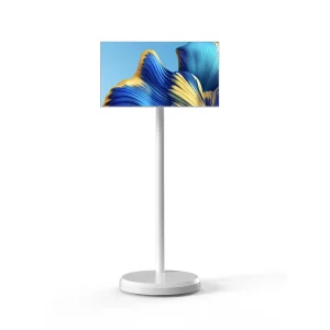 21.5 Inch Floor Standing a Type Narrow Bezel Wireless Displays Moving Smart Android 12 Interactive TV