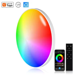 220V 24W RGB+CCT Ceiling Lights Wifi LED Home Lamps with Remote Control for Bedroom Application