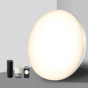 24W Homekit Wifi Voice APP Alexa Tuya Remote Control Bedroom Indoor Led Ceiling Lighting Smart Home Light
