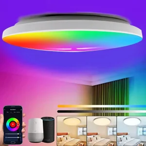 24W Indoor TUYA WIFI RGB+CCT Smart LED Ceiling Light with Alexa & Remote Control High CRI 90 Contemporary Bedroom Lighting