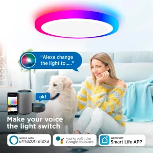 30W 14 Inch 2.4G App Control Smart Surface Mount Panel Light 2700K to 6000K and RGB Night Light for KTV Room