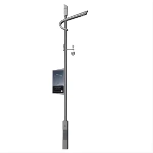 3meter 5meter 6meter 8meter 10meter City Smart Light Pole With WIFI CCTV Camera Charge Equipment