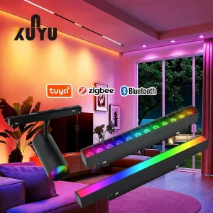 48V Smart Magnetic Aluminum COB LED Track Lighting System With High CRI 90 Dimmable Recessed RGB Ceiling Spotlights