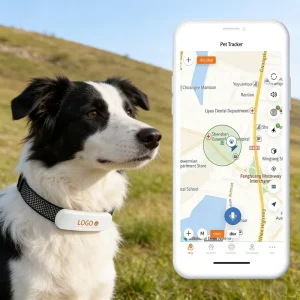 4G GPS Pet Dog Training Collar with IP67 Waterproof, Real time Tracking, Activity Monitoring & Remote Training