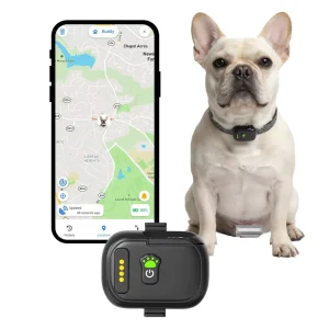4G GPS Pet Tracker Anti-lost Geo Fence Health Monitoring Collar >20 Hours Battery Life IPX7 Waterproof Android/iOS