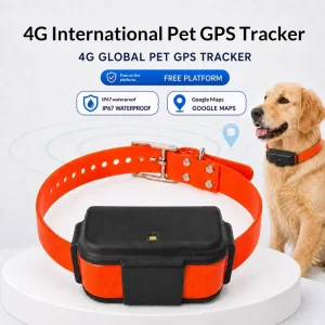 4G LTE Pet GPS Tracker with SIM Slot IP67 Waterproof No Distance Limit Real time Dog Finder 4000mAh Long Standby Tracking Device