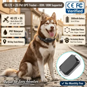 4G LTE Smart Dog Training Collar GPS Tracker with Activity Monitor IP67 Waterproof Real-time Tracking for Pets Dog