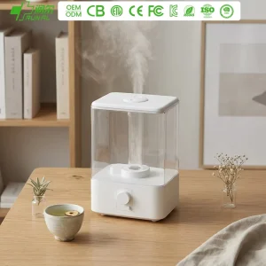 4L Electric Warm Mist Ultrasonic Air Humidifier with Color Changing LED Night Light Plastic Material for Household Use