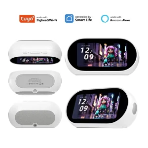 5 Inch Smart Home Control Panel Wall Switch AI Desktop Hub WiFi Bluetooth Mesh Gateway Alexa Built in for Whole House Automation