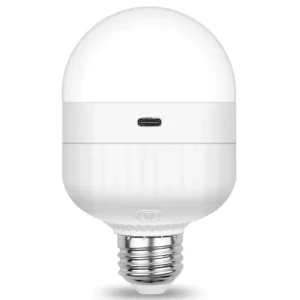 Battery-Operated Rechargeable Light Bulb with Remote Control, 5000mAh