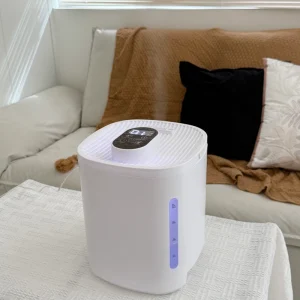 5L Large Capacity Humidifier for Dry Desert Climate and Air-Conditioned Villa