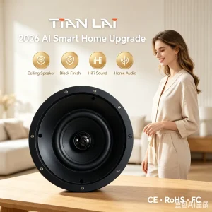 6.5 Inch 2-Way Coaxial In-Ceiling Speaker Flush Mount Home Theater Audio System with Frameless Magnetic Grille Hi-Fi
