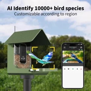 8 Megapixel True 4K Quality Bird Feeder with Camera Bird Watching Camera for Outdoors Backyard Birding