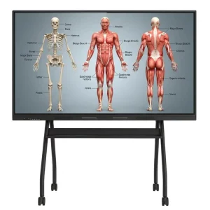 86 Inch 4K Smart Board Interactive Whiteboard with Advanced IR Touch & Flicker-Free Screen for Eye Comfort