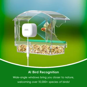 AI Bird Recognition Bird Feeder Camera Two way Voice Intercom Digital Zoom IP65 Waterproof 2K Resolution 10m Night Vision ABS