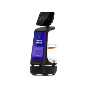 AI Commercial Welcome Robotics Receptionist Automatic Greeting Outdoor Home Security Alert Assistant Work Robot