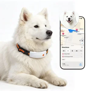 AI Smart Pet Collar GPS Heart Rate Respiratory Rate Health Monitor