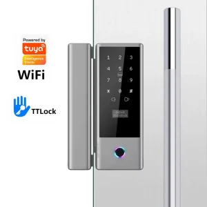 AIENDI Tuya Wi Fi & for Cloud Push Automatic Fingerprint Keypad Sliding TTLock Frameless Biometric Smart Glass Door Lock