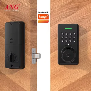 ANG Electric Smart Digital Door Lock Matter Remote AA Battery Supply Fingerprint Password Deadbolt Door Lock