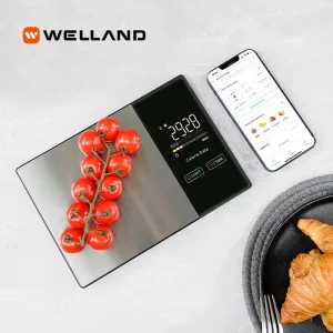 Accurate Digital Kitchen Food Scales with LED Display OEM & ODM Supported Kitchen Scale