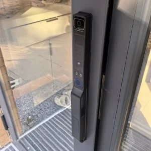 Aluminum Alloy Face Recognition Fingerprint Palm Vein Intelligent Password IC Card Tuya Smart App Waterproof Lock