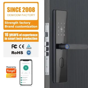 Aluminum Alloy Intelligente Wifi Security Wireless Waterproof Password Fingerprint Smart Door Locks