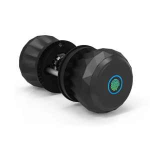 Aluminum Alloy Smart Door Lock with WiFi Supports Keys Fingerprint Memory Card for Brass/Wood/Steel Doors Tuya App