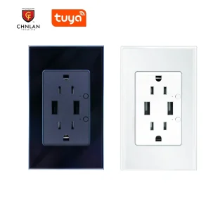 American Standard Smart Power Socket Outlet + 2USB Smart Life App Alexa Voice Control AC100V 240V 16A