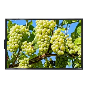 Android Lcd Digital Signage 10.1 32 55 65 Inch Electronic Poster Advertising Smart Window Display Interactive Screen for Shop