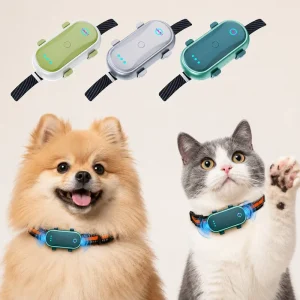 Anti Lost Alert Wireless Program Control Daily Walk Real Time Positioning IP67 Waterproof Navigation 4G Pet Gps tracker