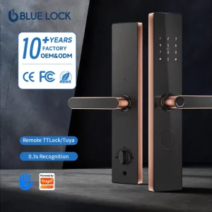 Antique Copper WiFi TTlock Smart Door Lock Fingerprint Password Card Unlock Intelligent Security Lock