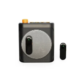 Aurora Sound M29 Wireless Lapel Microphone Amplifier for 5.3 Noise Reduction Battery Powered Portable Clip on Audio