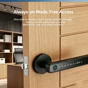 BLE Electronic Password Finger Key Smart Door Lock Security Electronic Smart Door Handle Indoor Room Lock