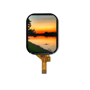 BOE 2.01 Inch IPS TFT LCD Display 240×296 Resolution 4 SPI Interface ST7789P3 Driver IC LED Backlight 350cd/m Brightness