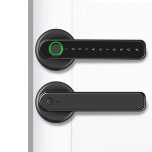 Bedroom and Wooden Door Fingerprint Lock Office Home Ball Lock Smart Handle Lock