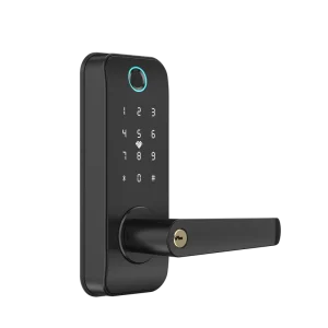 Biometric Fingerprint Door Lock Smart Lock Digital Keypad Keyless Entry Door Lock Tuya App
