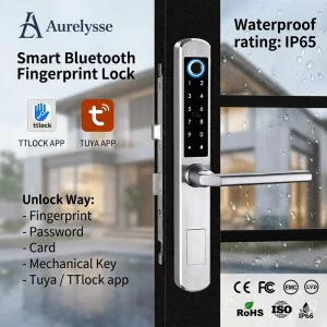 Biometric Fingerprint Tuya/TTlock Smart Lock Waterproof IP64 Stainless Steel Multi-Unlock
