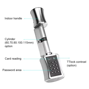 Ble Keyless Security Digital Password Card Euro Aluminium Alloy Smart Cylinder Lock with IC Card