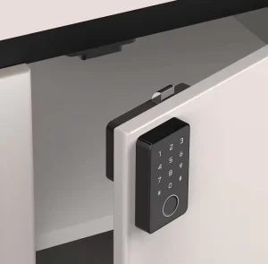 Ble Wireless Smart Digital Smart Biometric Fingerprint Cabinet Lock with IC Card and Password Unlock for Drawer