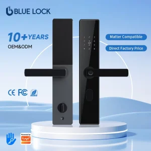Bluelock Modern Cerradura Inteligente TTlock Tuya Remote Control Biometric Fingerprint Recognition Keyless Digital Door Lock